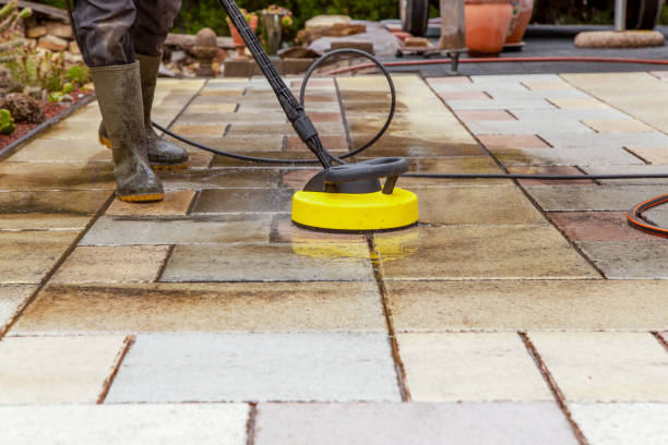 Best Animal Enclosure Cleaning  in West Columbia, SC